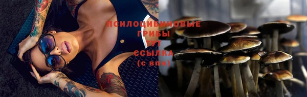 соль ск Балахна