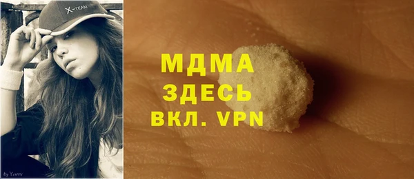 шишки Арсеньев