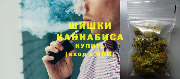 шишки Арсеньев